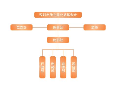组织架构 - 深圳市社会公益基金会