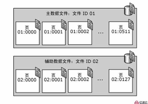 sql数据库ip地址怎么看