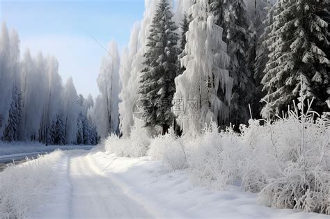 冬天树下的长凳覆着厚厚的积雪高清图片下载-正版图片303412330-摄图网
