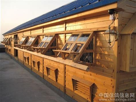 北京著名起来起军鸽舍(图)-信鸽园地-中国信鸽信息网