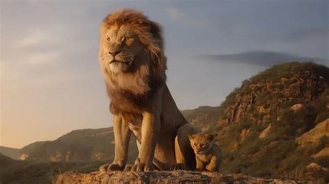 木法沙带领辛巴巡视王国，用过飘柔的狮子就是帅