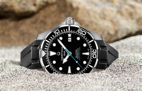 雪铁纳海龟多少钱·2023最新整理