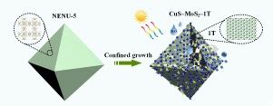 In-Situ Growth of High-Content 1T Phase MoS2 Confined in the CuS ...