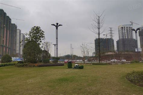 泸州：增加绿色存量 构建长江上游绿色生态屏障 - 区域 - 华西都市网新闻频道