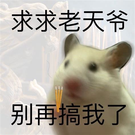不卑微了我要发疯表情包图片