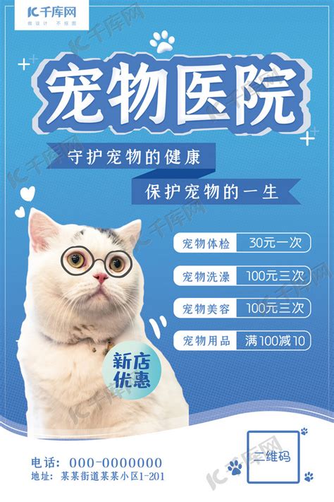 宠物医院猫猫蓝色清新风海报海报模板下载-千库网