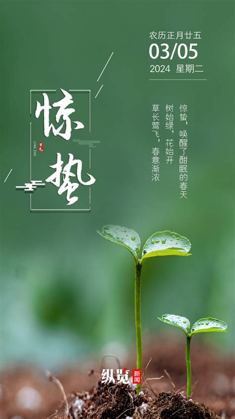 【春分】草木蔓发，春山可望 --黄河新闻网_忻州频道