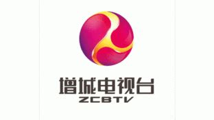 广东增城电视台标志logo设计,品牌vi设计