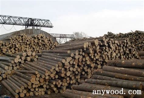 千年舟教你如何鉴别生态板的质量-中国木业网