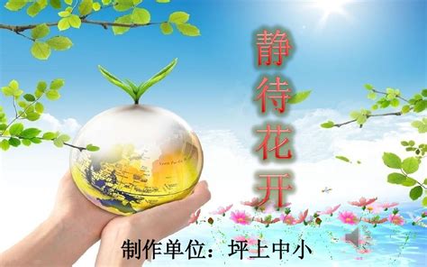 静待花开图片