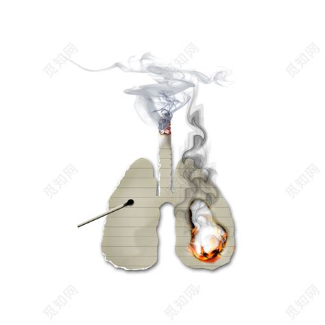 吸烟者的肺图片