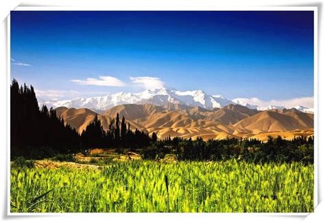 新疆沙漠里有座绿洲中的“和田团城”，建筑雅致，夜景好迷人！|团城|和田|建筑_新浪新闻