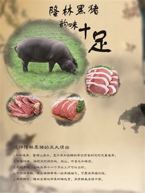 隆林黑猪肉_h5页面制作工具_人人秀H5_rrx.cn