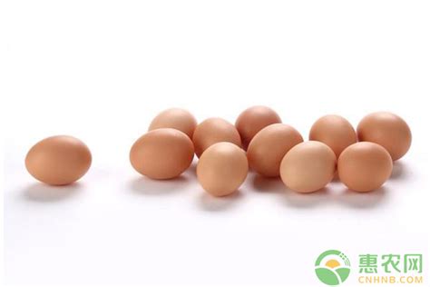 鸡蛋价格“三连涨”！普通鲜鸡蛋市场价直逼6元/斤-大河新闻