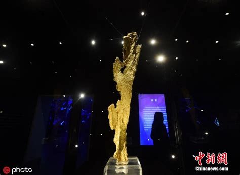 世界最长自然金“霹雳王”现身杭州 堪称无价之宝