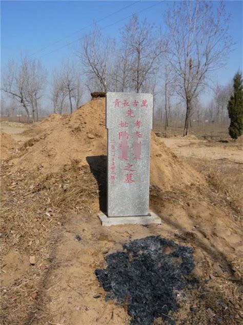 墓地旁栽什么树比较好？有哪些讲究-北京公墓网