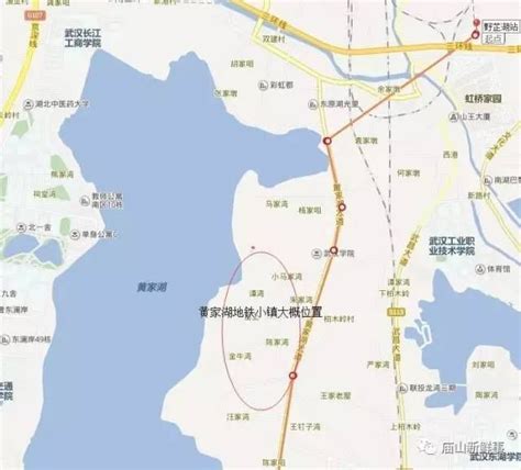 中国水利水电第八工程局有限公司 基础设施公司 武汉黄家湖项目子项景观提升工程通过验收