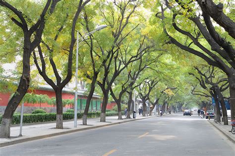 北京长安街名字的由来_长安街有什么特点 - 工作号