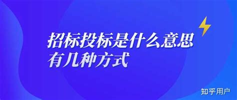中国建设银行网上招投标操作指南Word模板下载_编号ldxpwbxz_熊猫办公