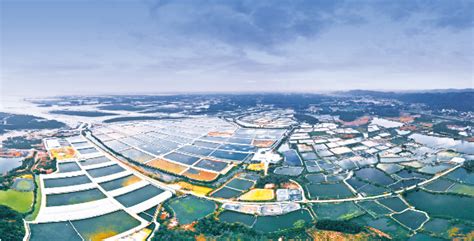 合浦县打造万亩水产养殖基地-中国水产科学研究院渔业机械仪器研究所网站