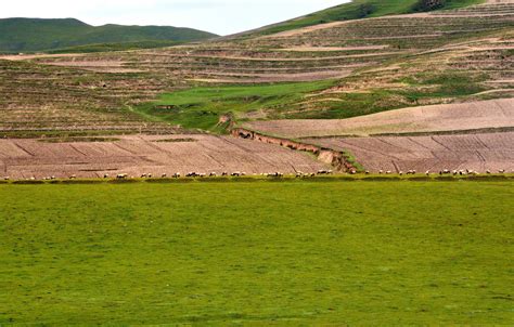 山水林田湖草沙系统治理——林草人在行动-甘南藏族自治州林业和草原局