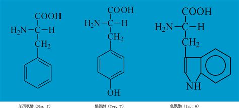311346-59-5_苯乙胺,2,3-二氟-(9CI)CAS号:311346-59-5/苯乙胺,2,3-二氟-(9CI)中英文名/分子式 ...
