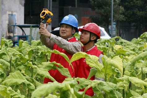 福建浦城：优质服务为农户保驾护航_县域经济网