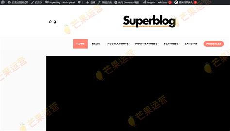 SuperBlog v3.4 – 强大的博客和杂志WordPress主题 - 云典网