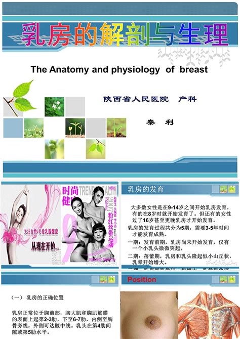正常乳头图片
