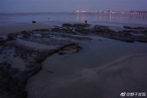 福建晋江深沪湾的海底古森林遗迹，是一种世界罕见的自然景观