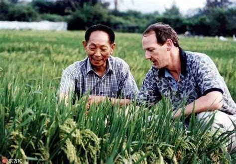 袁隆平：改造1亿亩盐碱地种水稻，每年能多养活8000多万人口 - 当代先锋网 - 要闻