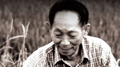 痛心，91岁袁隆平逝世，这个喂饱14亿人的“杂交水稻之父”，去世前还在遭受谩骂……_袁老