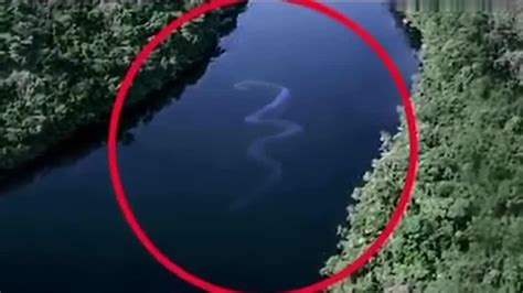 100米长的蛇,100米巨蛇,100米有多长(第10页)_大山谷图库