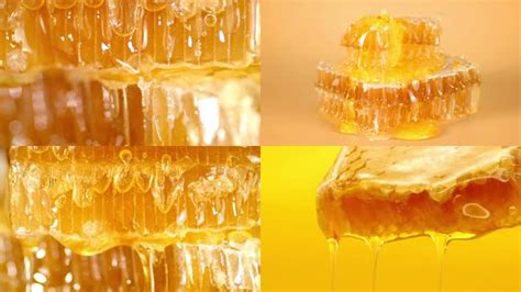 蜂蜜是怎么来的？从蜜蜂到蜂蜜全过程解读！