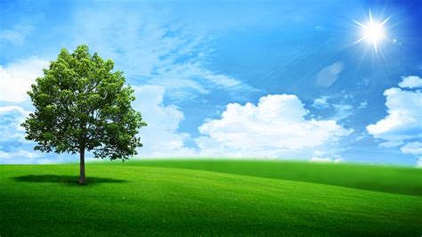 风景与绿色的树4K壁纸3840x2160_4K风景图片高清壁纸_墨鱼部落格