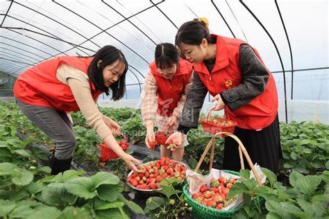 浙江湖州：党员助农促共富-人民图片网