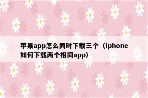 微光app怎么弄透明头像 微光app设置头像挂件方法介绍_历趣