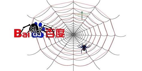 在网站SEO优化中怎样提高蜘蛛的抓取频率？ | 百恒科技