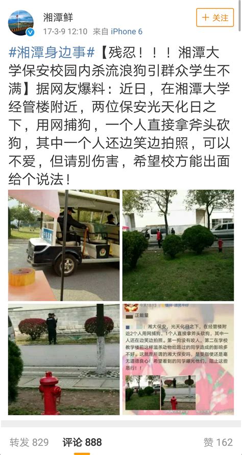 湘潭大学女生校内遭流浪狗撕咬 学校一年前打狗曾被围攻中止