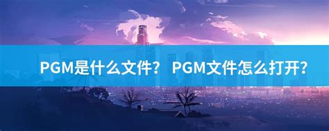 PGM文件扩展名_PGM是什么格式_PGM文件怎么打开-文件百科