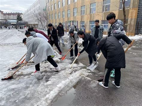 立冬雪落满校园，劳动教育暖人心——学校组织开展清冰除雪工作