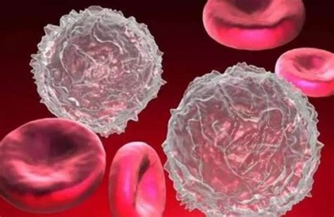 双特异性抗体γδ T细胞疗法开启癌症肿瘤细胞免疫治疗的新赛道_全球肿瘤医生网