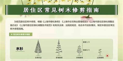 【提示】沪发布居住区常见树木修剪指南海报_手机新浪网