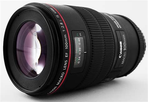 Canon EF 100mm f/2.8L Macro IS USM Lens Review - Reviewed