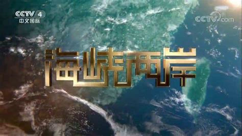 中央电视台CCTV4中文国际频道华人故事简介