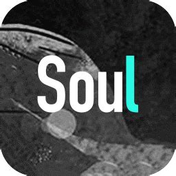 soul下载安装最新版-灵魂交友软件soul下载v5.10.0 官方安卓版-绿色资源网