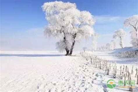 瑞雪兆丰年 香格里拉迎来2020年首场暴雪-高清图集-中国天气网云南站