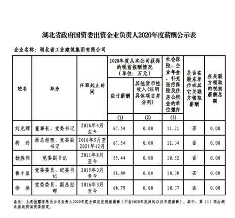省政府国资委出资企业负责人2020年度薪酬情况-湖北省国有资产监督管理委员会