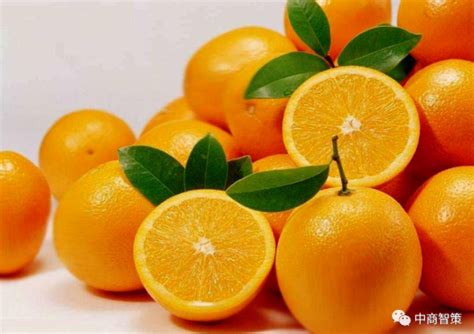 【每周一鲜】橙子售卖正当时，超市如何做好橙子品类经营？