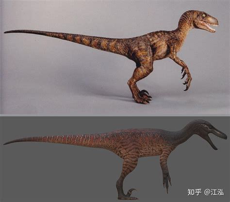 现实中哪种恐龙最符合《侏罗纪公园》《侏罗纪世界》中的迅猛龙形象？ - 知乎